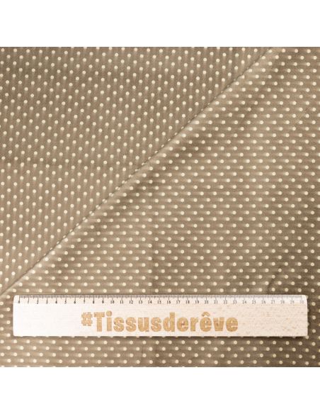 Velours ras coton & élasthanne - Pois tacheté beige fond marron