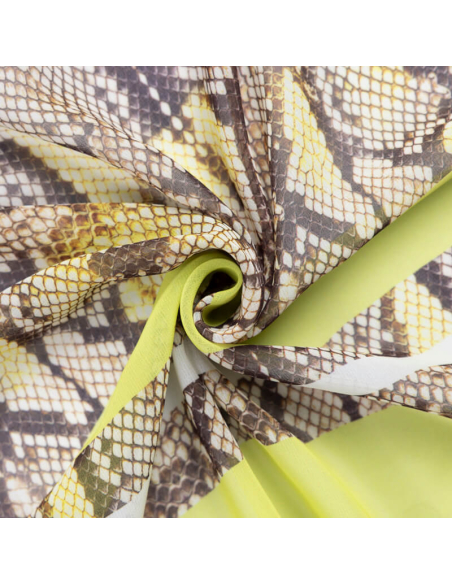 Mousseline – Python excentrique